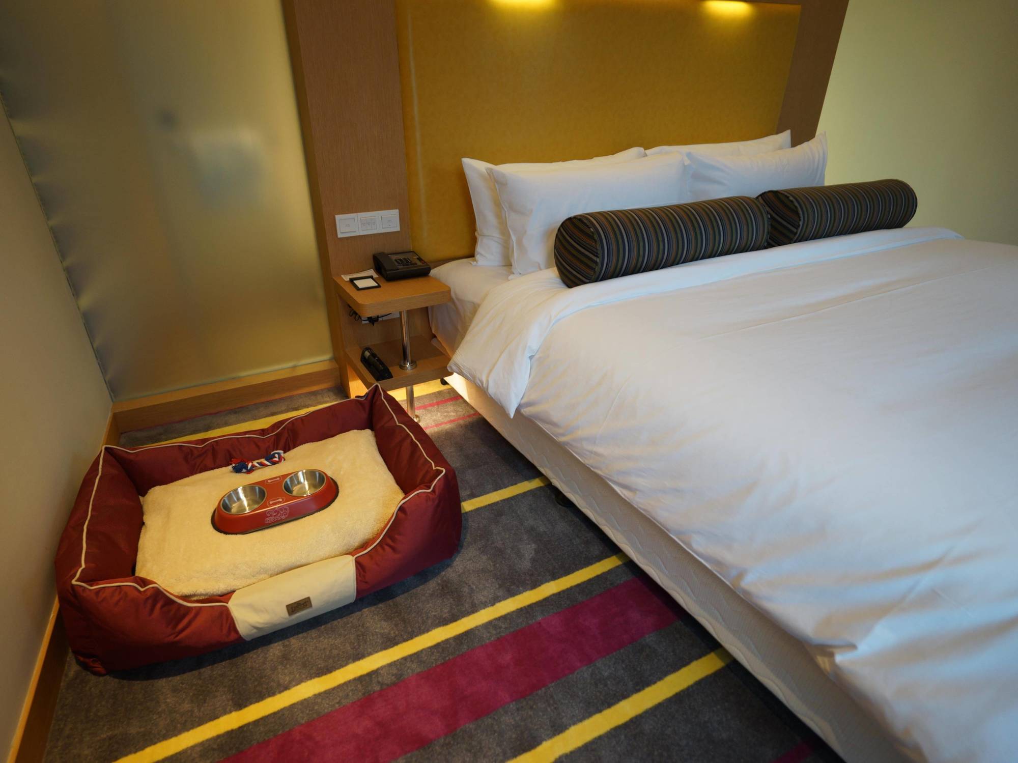 Hotel Aloft Dynamic Town à Shenzhen Extérieur photo